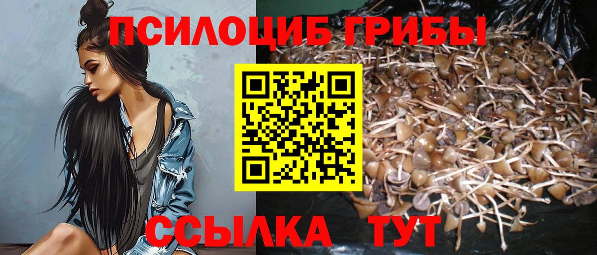 Псилоцибиновые грибы прущие грибы Дубна