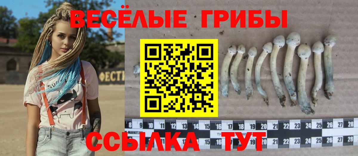 Галлюциногенные грибы MAGIC MUSHROOMS  Галлюциногенные грибы ЛСД  Дубна  Вход с VPN 